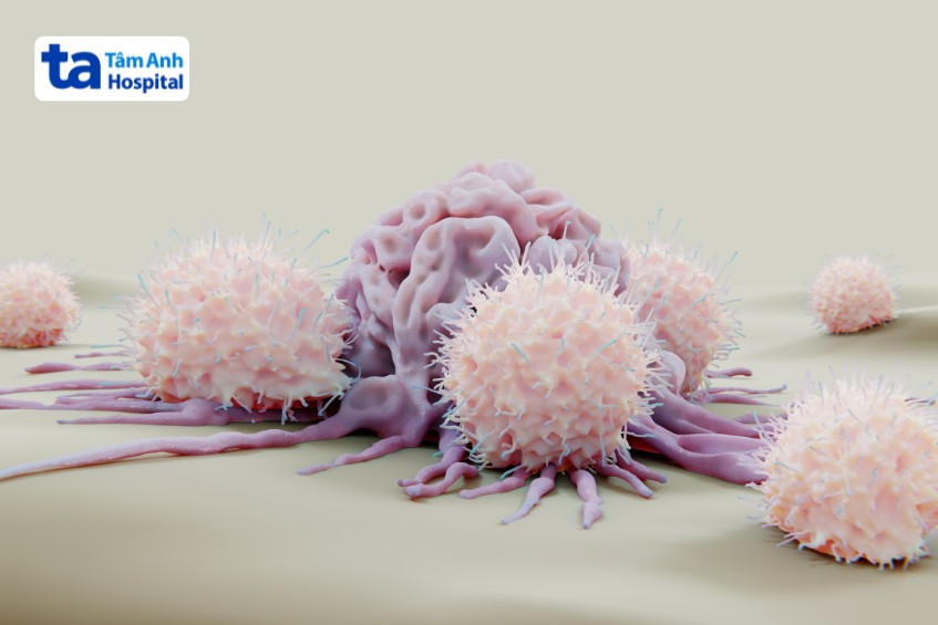 nk nhằm vào tế bào nhiễm virus