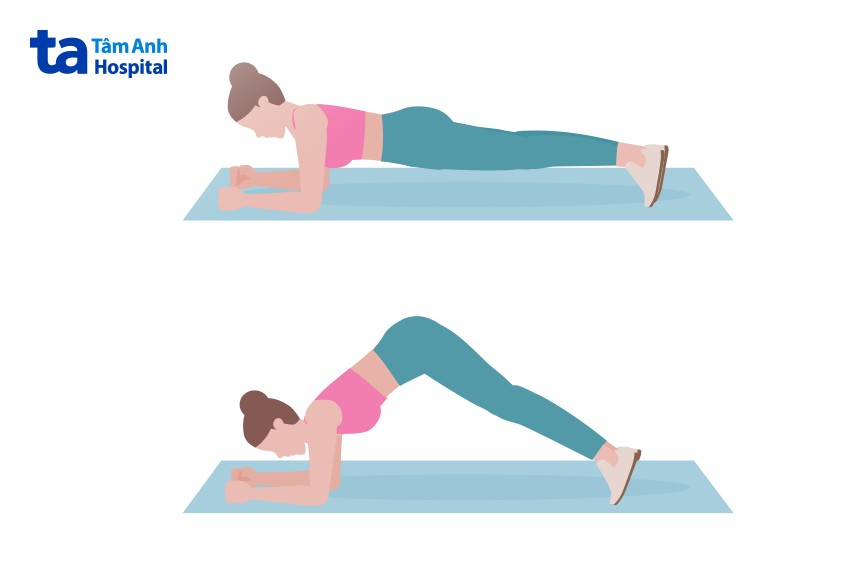 plank cá heo phù hợp người yoga