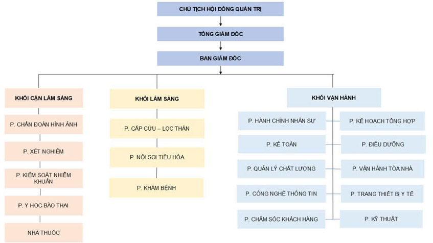 sơ đồ tổ chức phòng khám đa khoa tâm anh quận 7