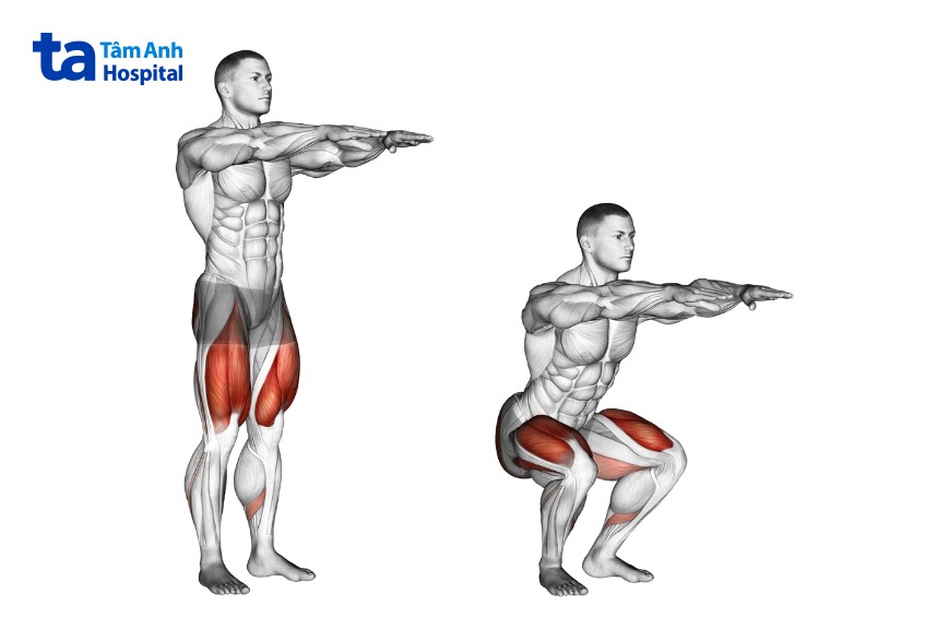 squat hỗ trợ đốt mỡ