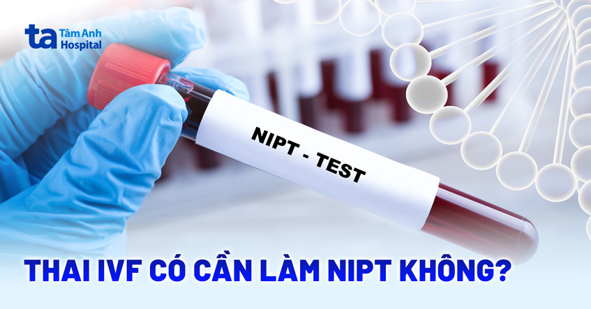 Thai IVF có cần làm NIPT không? Khi nào nên, khi nào không?