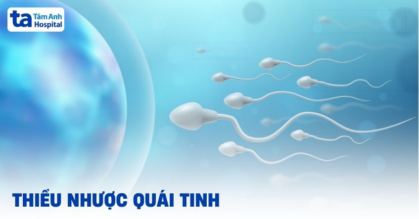 thiểu nhược quái tinh