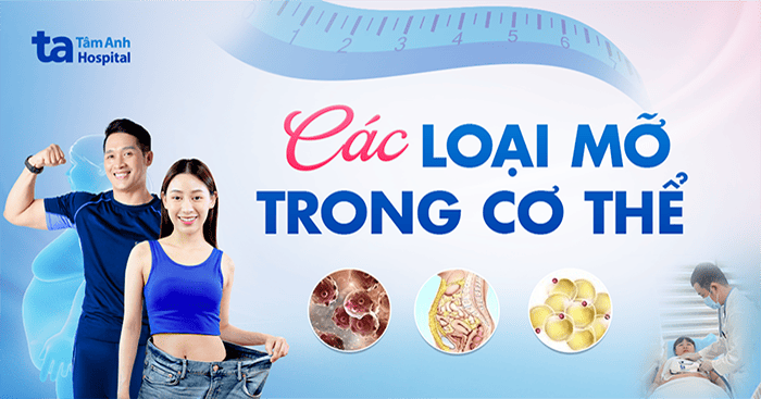 thumb các loại mỡ