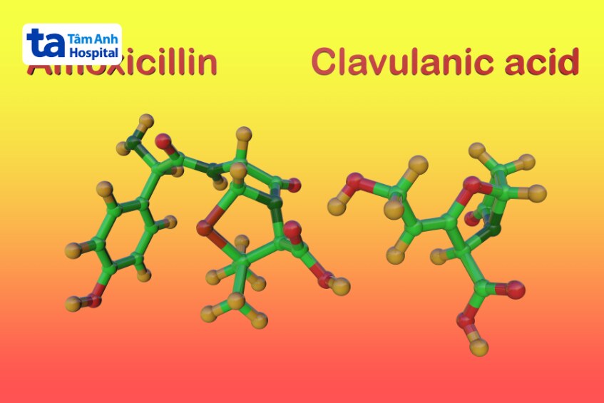 thuốc amoxicillin clavulanic acid