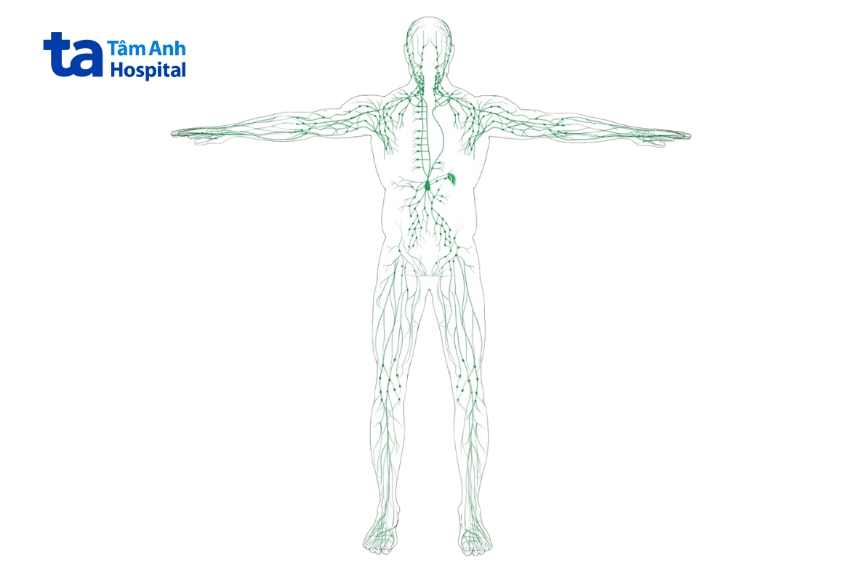 vị trí u lympho tế bào b lớn lan tỏa