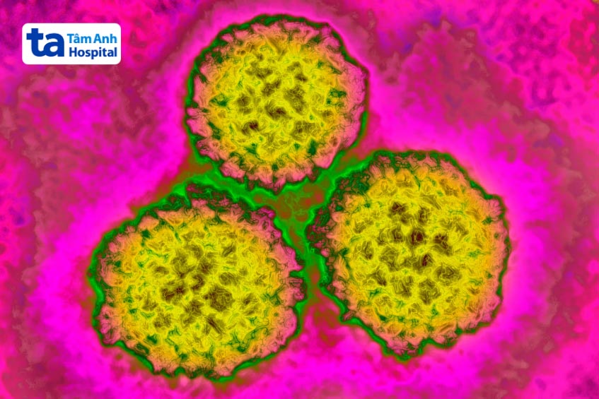 virus hpv