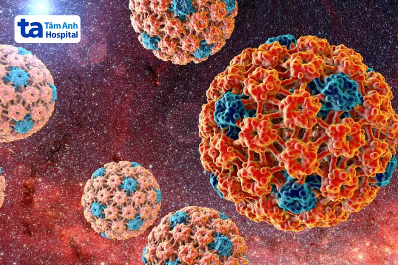 virus hpv