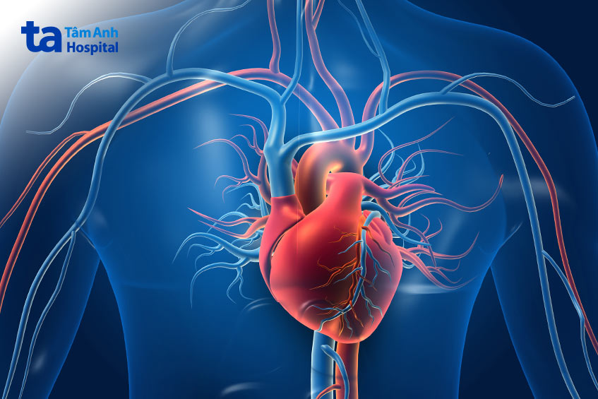 Áp lực tưới máu mạch vành là chỉ số giúp đánh giá hiệu quả tuần hoàn máu đến cơ tim