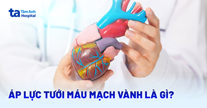 Áp lực tưới máu mạch vành là gì? Vai trò, cơ chế và công thức đo