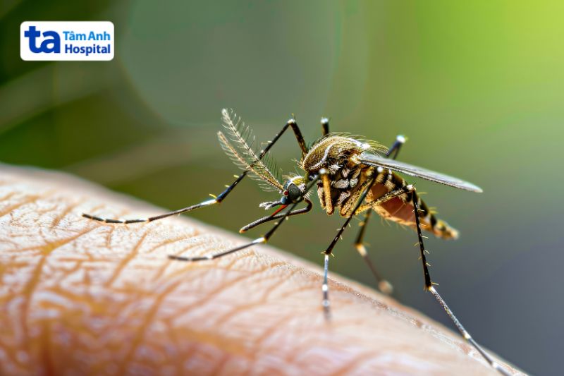 ngăn muỗi đốt phòng bênh sốt rét