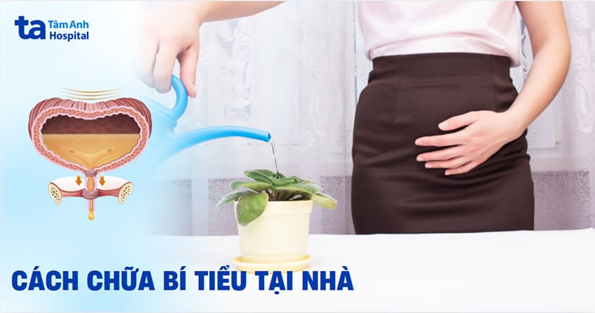 8 cách chữa bí tiểu tại nhà đơn giản nhưng hiệu quả cao