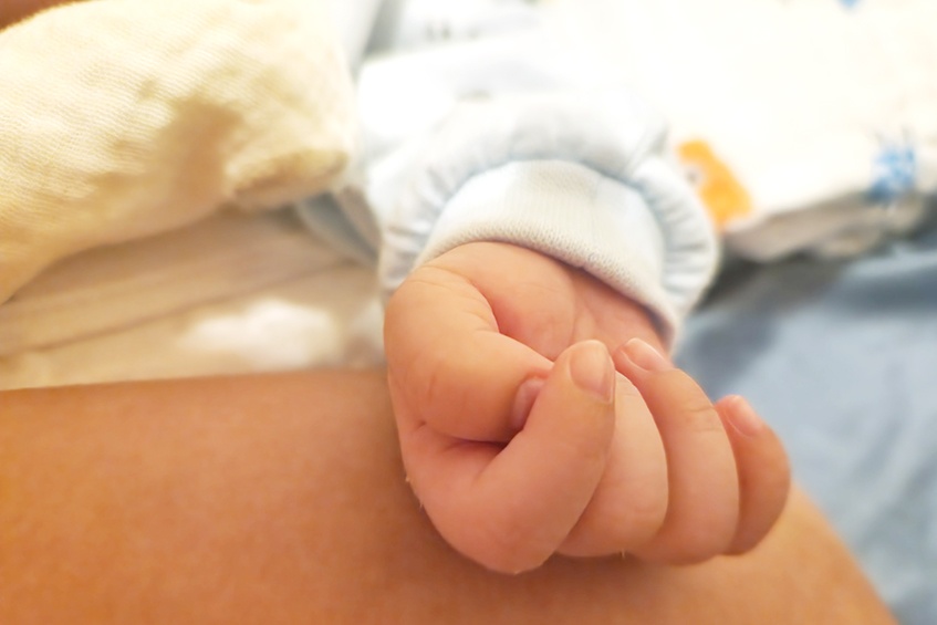 case bé bánh mì lp ivf hình tay