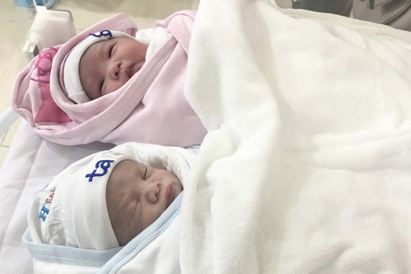 case nguyễn anh bảo và gia bảo lp ivf