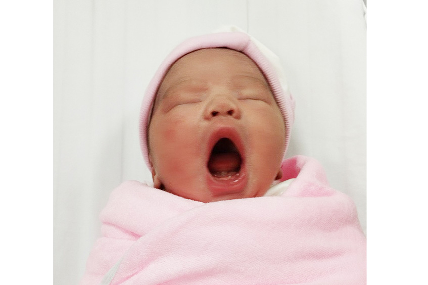 case Nguyễn Thị Minh Nguyệt LP IVFTA