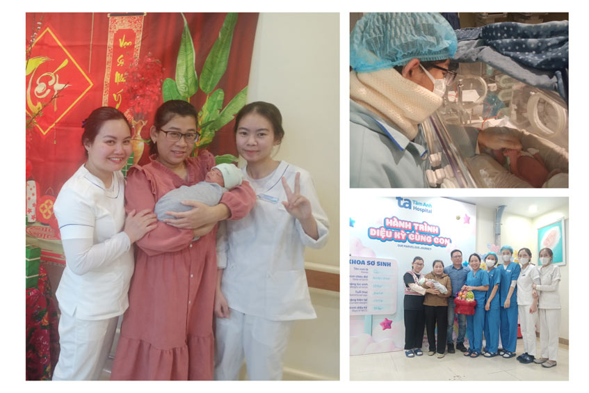 case Nguyễn Thị Thảo LP IVFTA