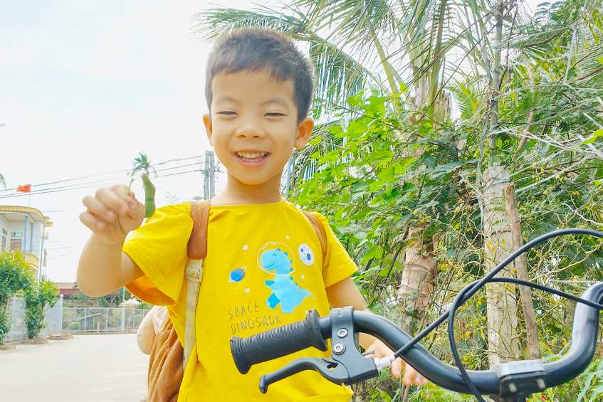 case phi thi nhung lp ivfta