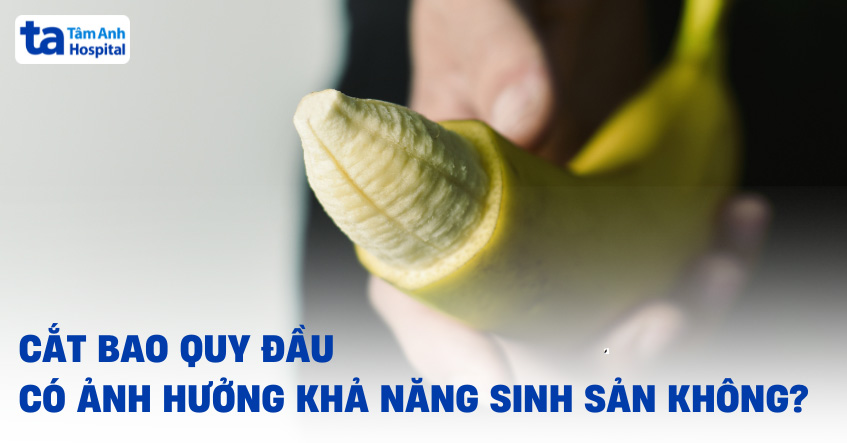 Cắt bao quy đầu có ảnh hưởng đến sinh sản​ không? [Giải đáp]