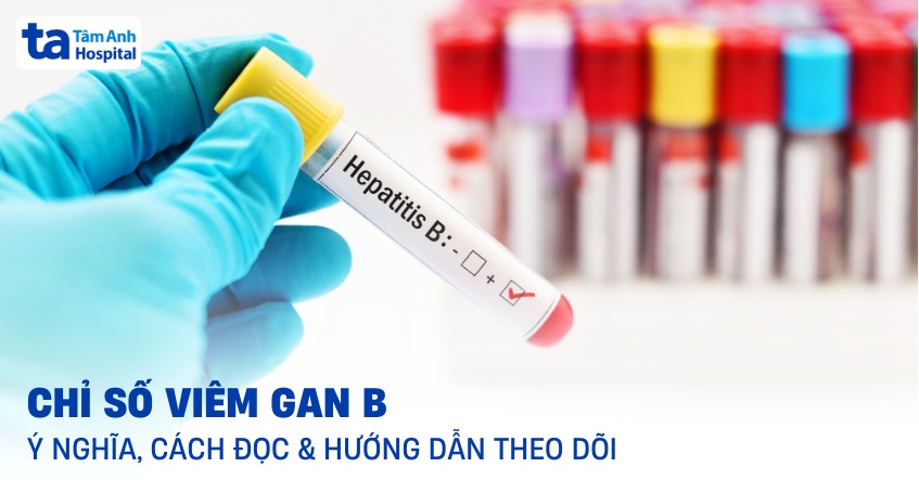 chỉ số viêm gan b