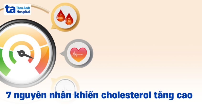 7 nguyên nhân cholesterol tăng cao không nên bỏ qua