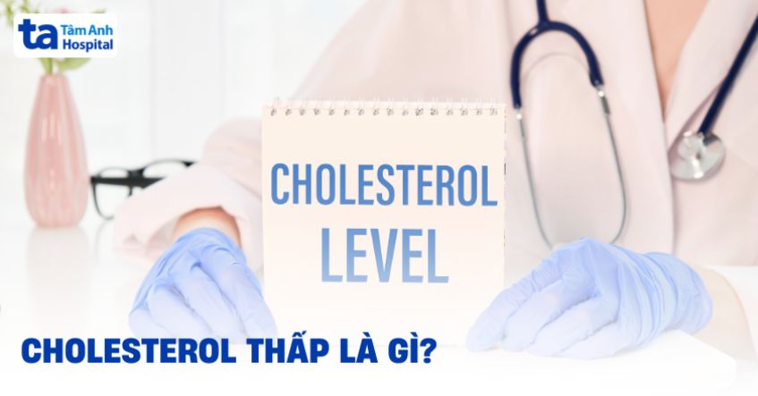 Cholesterol thấp là gì? Nguyên nhân khiến chỉ số toàn phần thấp