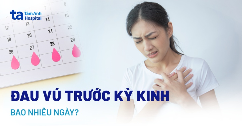 Vì sao đau ngực khi chưa tới tháng? Trước kỳ kinh bao nhiêu ngày?