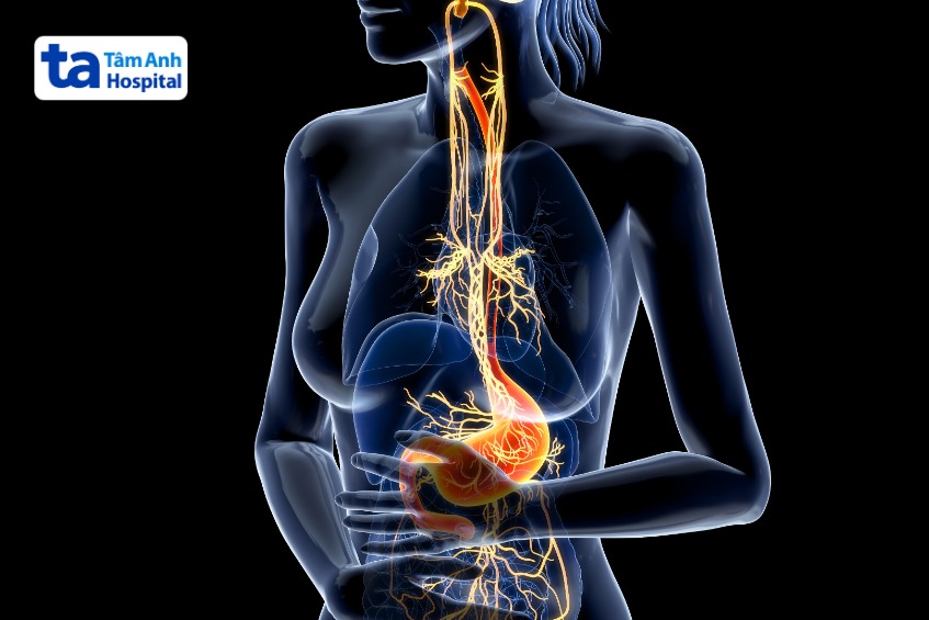 dây thần kinh phế vị trong cơ thể