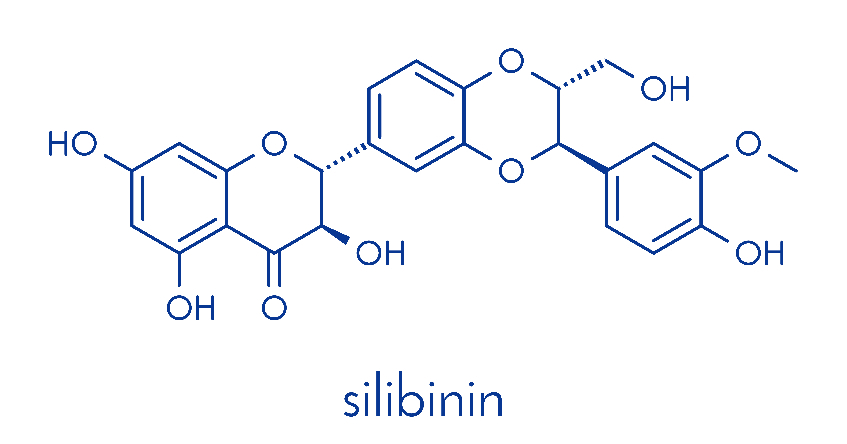 hoạt chất Silymarin