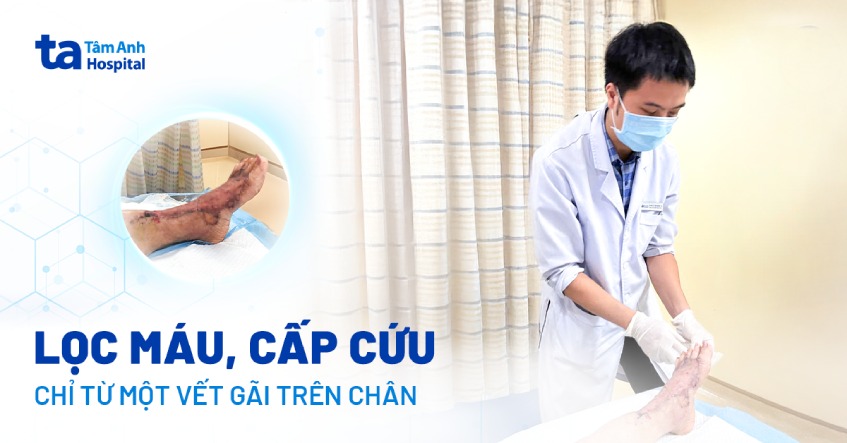 lọc máu, cấp cứu khẩn chỉ từ một vết gãi trên chân