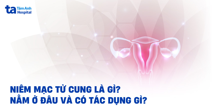 Niêm mạc tử cung là gì