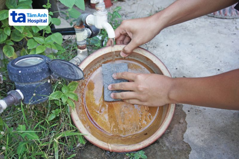 chú ý dọn sạch nơi trú ẩn của muỗi