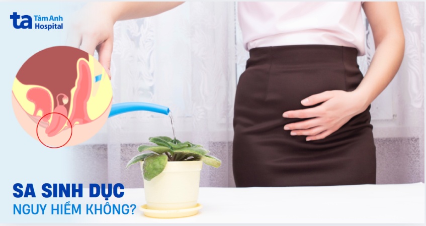 Sa sinh dục có nguy hiểm không? Biện pháp phòng ngừa hiệu quả