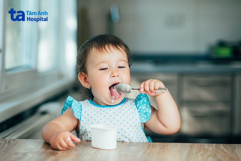 sữa chua giúp cân bằng, cải thiện hệ vi sinh đường ruột