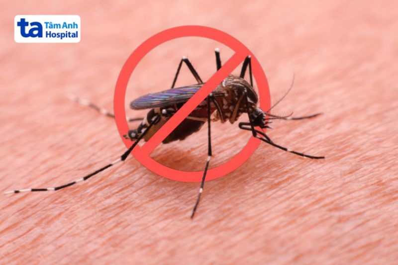 Virus Dengue là tác nhân gây sốt xuất huyết