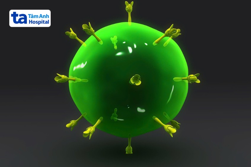 tế bào giúp điều phối phản ứng bảo vệ