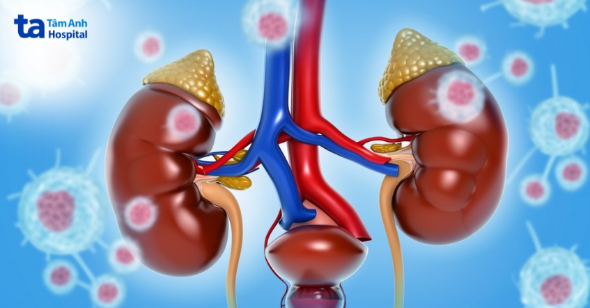 thận ứ nước và thận ứ mủ có giống nhau không