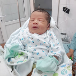 Bài chia sẻ số 245: Hạt bụi nhỏ hạnh phúc của tôi