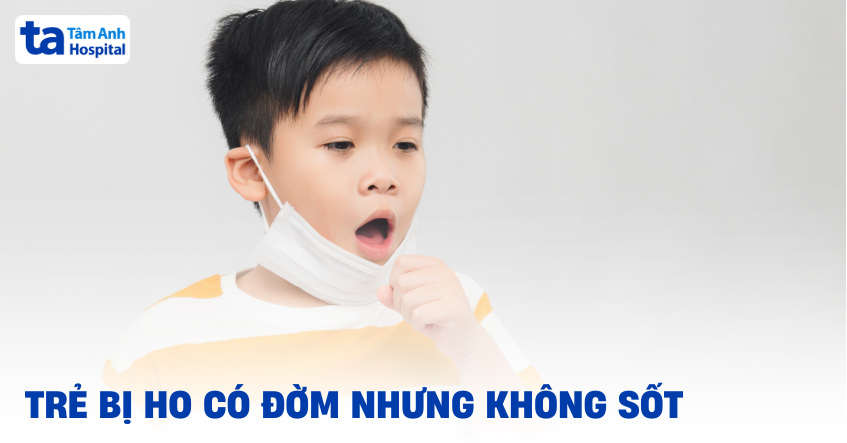 Trẻ ho có đờm không sốt là bị bệnh gì? Cách điều trị, chăm sóc bé