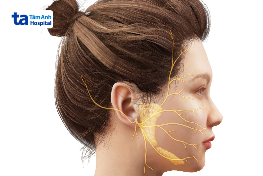 u dây thần kinh số 7 gây rối loạn chức năng thần kinh