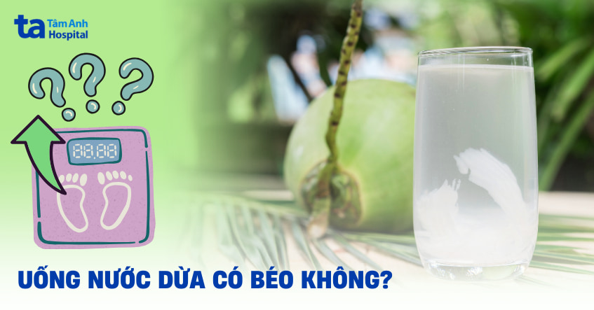 Uống nước dừa có béo không? Cách uống đúng để không lo mập