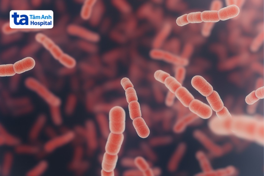 viêm phổi do phế cầu ở trẻ em nguyên nhân do đâu