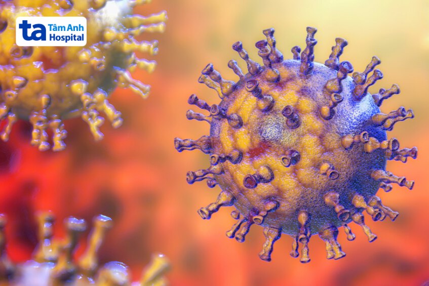 virus gây bệnh thủy đậu và zona thần kinh