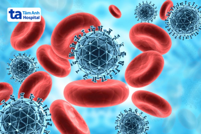 ảnh siêu vi HIV tấn công tế bào miễn dịch