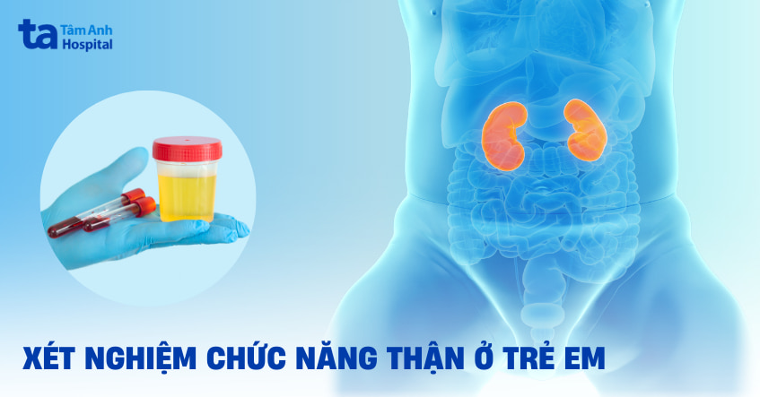 Xét nghiệm chức năng thận ở trẻ em khi nào nên thực hiện?