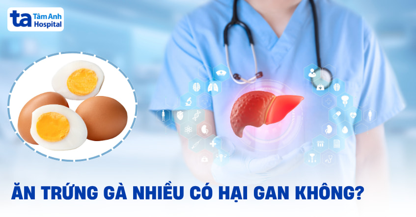 Ăn trứng gà nhiều có hại gan không? Khi nào nên hạn chế?