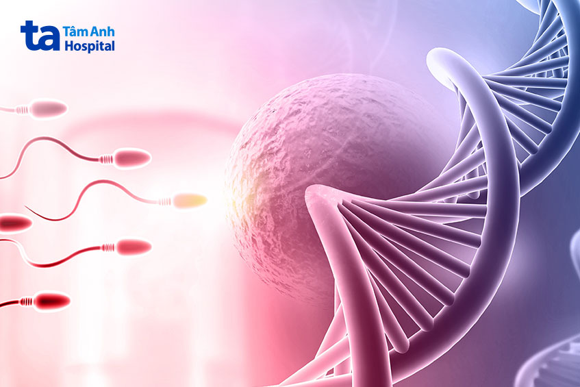 ảnh hưởng sức khỏe sinh sản