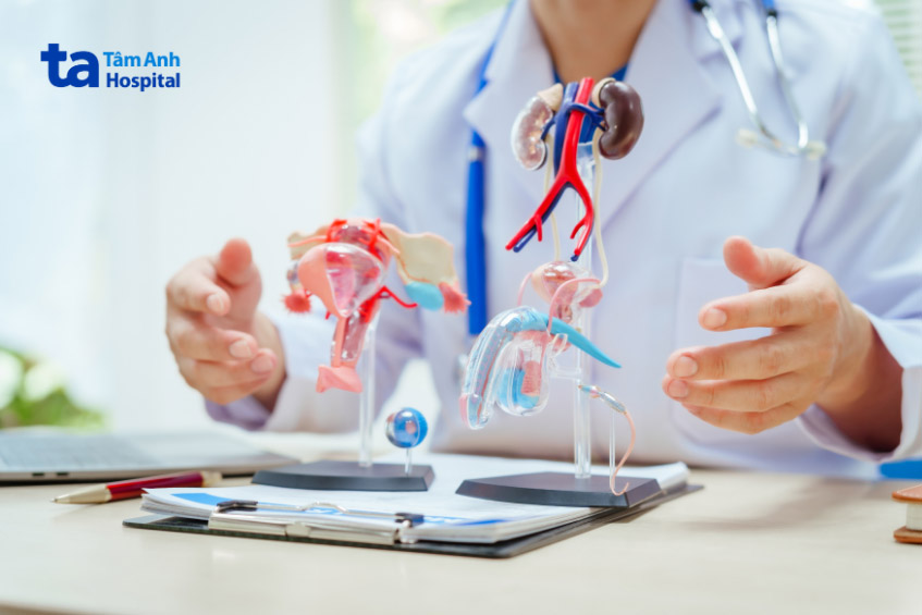bác sĩ tìm bất thường ở tuyến sinh dục