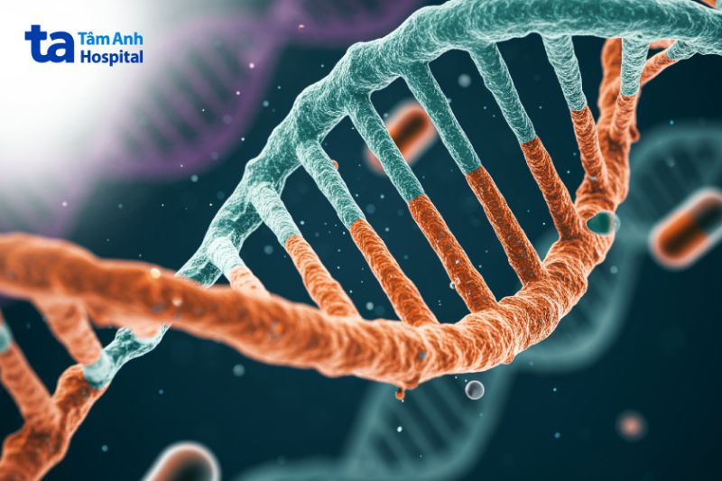 bệnh bạch biến có yếu tố di truyền 