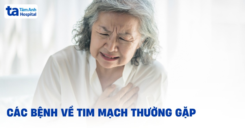 Top 15 bệnh về tim mạch thường gặp ngày càng nhiều người mắc