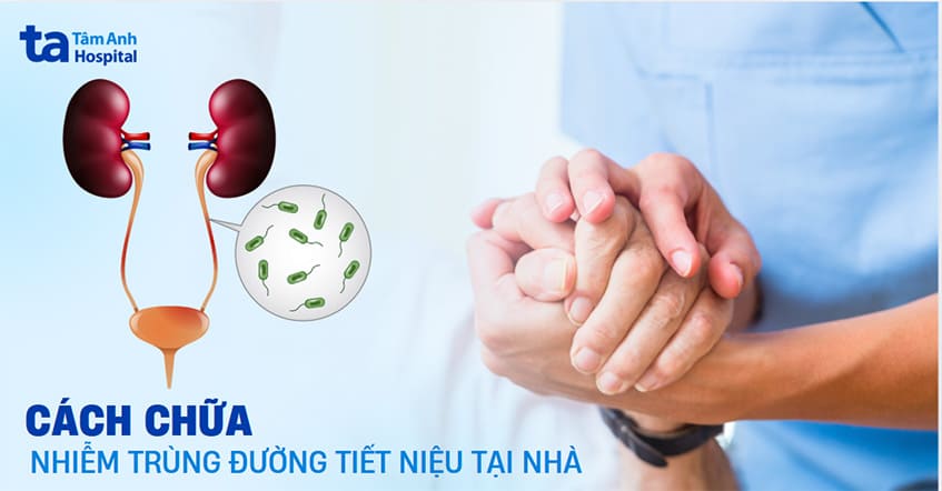 10 cách chữa nhiễm trùng đường tiết niệu tại nhà có hiệu quả tốt