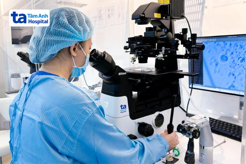 Chuyên viên phôi học tìm tinh trùng cho người bệnh